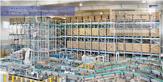 1000kg automatizó soluciones para trabajos de tipo medio del almacenamiento de Warehouse del sistema del tormento de la plataforma